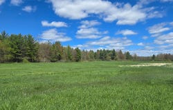 00 Cooper Rd, Hammond, NY 13646