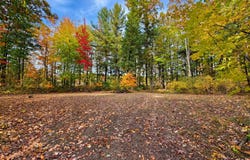 7861 Vestaburg Road, Vestaburg, MI 48891
