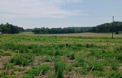 Lot 1 Witte Road, Augusta, WI 54722
