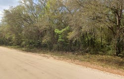 ANNETTE AVENUE, INTERLACHEN, FL 32148