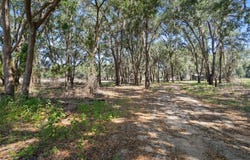 25399 MONDON HILL ROAD, BROOKSVILLE, FL 34601