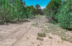 11771 Diamond View Rd, Trinidad, CO 81082