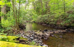 10523 UNION SPRINGS RD, DAYTON, VA 22821