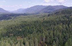 NHN Green Ridge Road, Noxon, MT 59853