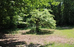 3156 Co Road 612 NE, Kalkaska, MI 49646