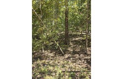 County Road 421, Birch Tree, MO 65438
