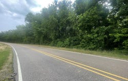 Brownsferry Rd Road, Sarah, MS 38665