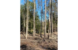 4107 CR 3800, Athens, TX 75752
