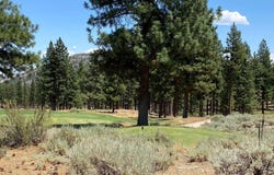 141 Walton Toll Road unit: 264, Carson City, NV 89705