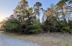 Lot 33 SW 97 PLACE, DUNNELLON, FL 34431