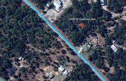 8186 N SHANNON AVENUE, CRYSTAL RIVER, FL 34428