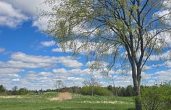 00 Cooper Rd, Hammond, NY 13646