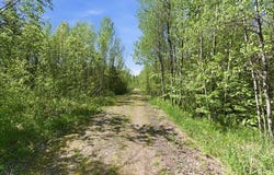 County Highway J, Deerbrook, WI 54424