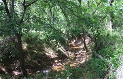 162 ACRES N2740, WAURIKA, OK 73573