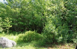 Map 6, 20 Bailey Mountain Drive, Franklin, ME 04634