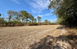 Altman Road, Hampton, SC 29924