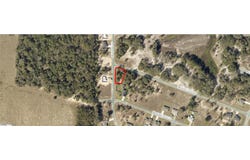 9031-0945-15 Malauka Loop Run, Ocklawaha, FL 32179
