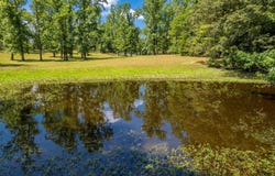 256 FOREST RIDGE Road, Royal, AR 71968