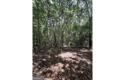 4130 GA HWY 26, Buena Vista, GA 31803