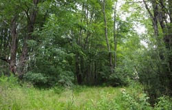 0 Dike Rd, Kingsbury, NY 12839
