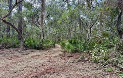 10.06 Acres On Julienton Road NE, Townsend, GA 31331
