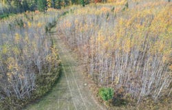 TBD Off Murray 80, Perronville, MI 49873