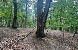 0 Planters Pointe Terrace, Baldwin, GA 30511