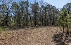 01 Hamilton Hill RD, Booneville, AR 72927