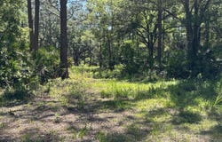 County Rd 90 E, Bunnell, FL 32110