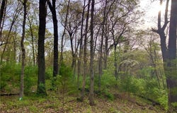2750 Estates Drive, Versailles, MO 65084