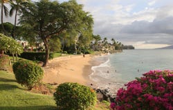 3959 Lower Honoapiilani Rd, Lahaina, HI 96761