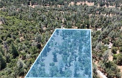 6528 Miller Ranch Road, Mountain Ranch, CA 95246