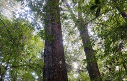 734 Epley Road, Sumrall, MS 39482
