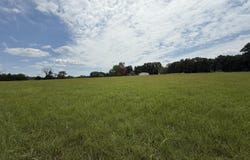 110 Thomasville Road, Buffalo, MO 65622