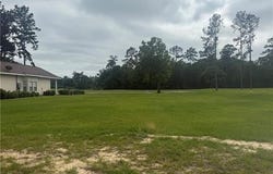 30684 BLUE WING CRESENT lot: 45, Springfield, LA 70462
