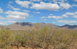 0 Bur Rd Se, Deming, NM 88030