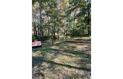 503 Sesame st, Karnack, TX 75661
