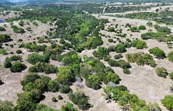  Other, Kerrville, TX 78028