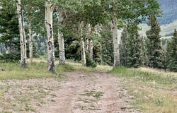 TBA, Tierra Amarilla, NM 87551