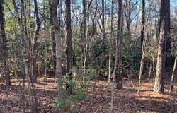 104 Santee Drive, Louisburg, NC 27549