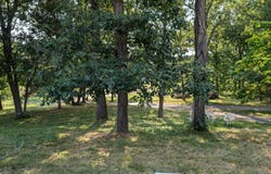 7748 Farm Rd. 1229, Willard, MO 65781