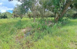 1238 Anvil Way, Moore Haven, FL 33471