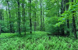 1.2 Jones Road, German, NY 13801