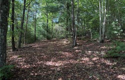 Lot 231 Deer Run, Purlear, NC 28665