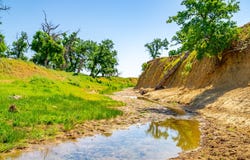 15605 Johnson Road, Red Bluff, CA 96080