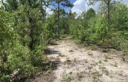 403 LILY Trail, Interlachen, FL 32148