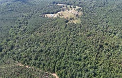 391 COUNTY ROAD 1028, CLANTON, AL 35046