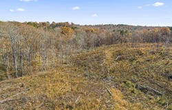 Co Rd 1067, Vinemont, AL 35179