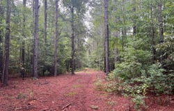 Tbd Guinyard Boulevard, Springfield, SC 29146