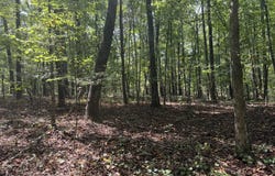 348 Pat Rich, Canton, GA 30115